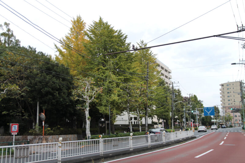 滝野川公園