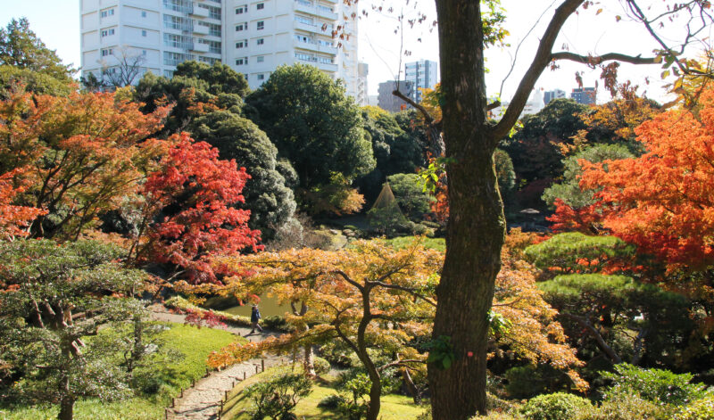 駒込 西ヶ原 旧古河庭園