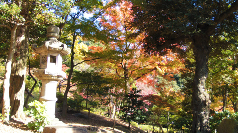 駒込 西ヶ原 旧古河庭園