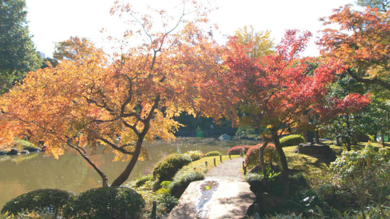 駒込 西ヶ原 旧古河庭園