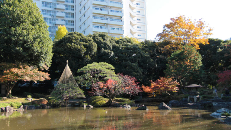 駒込 西ヶ原 旧古河庭園