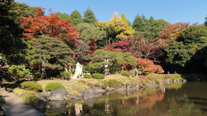 駒込 西ヶ原 旧古河庭園