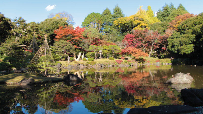 駒込 西ヶ原 旧古河庭園