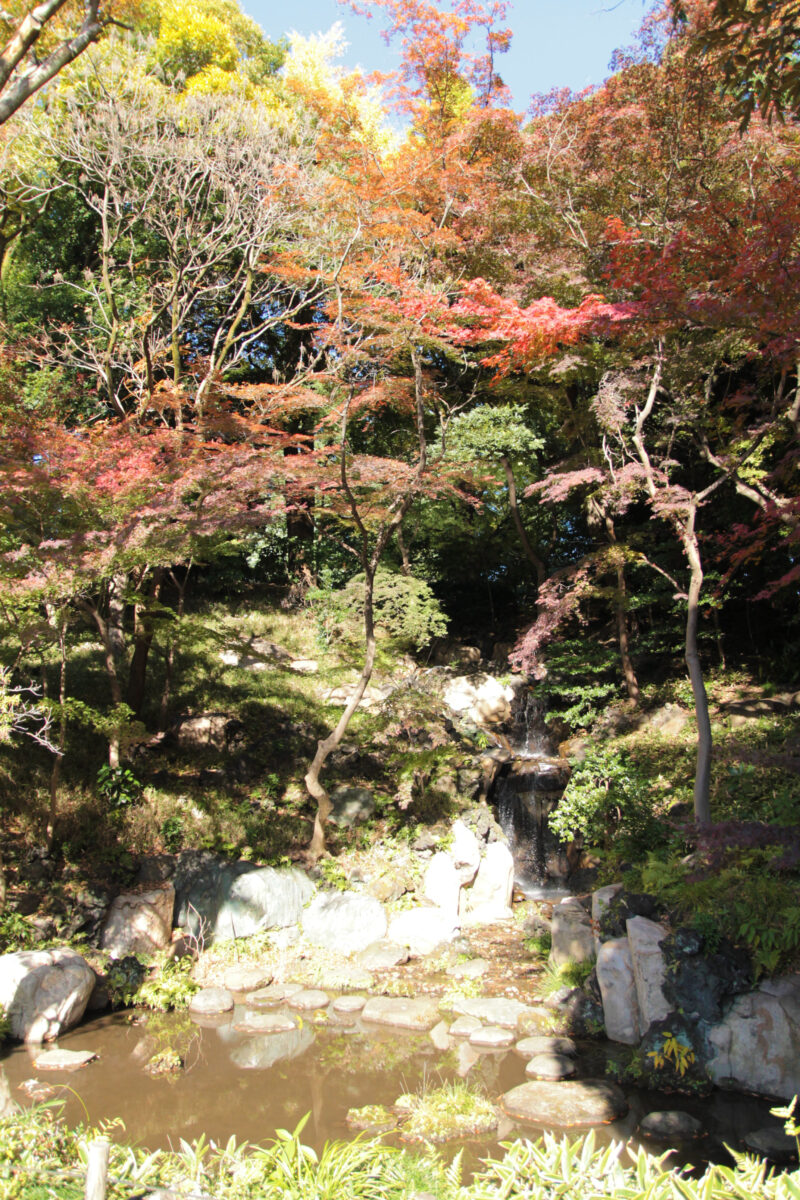 駒込 西ヶ原 旧古河庭園