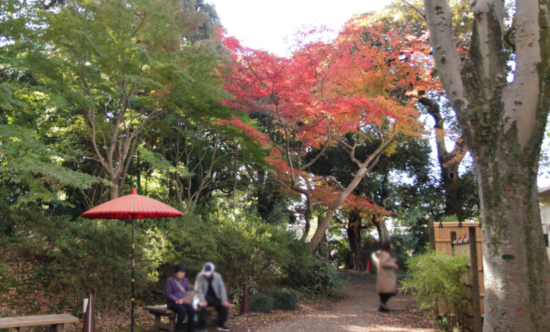 駒込 六義園