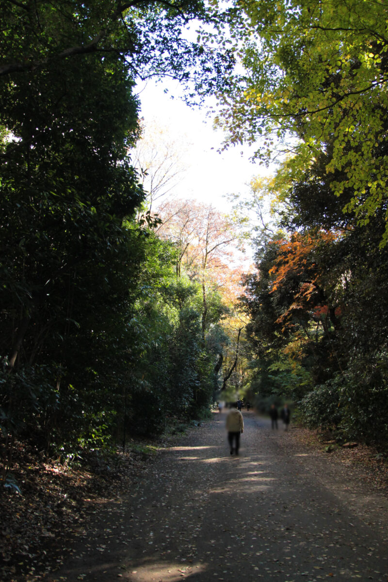 駒込 六義園