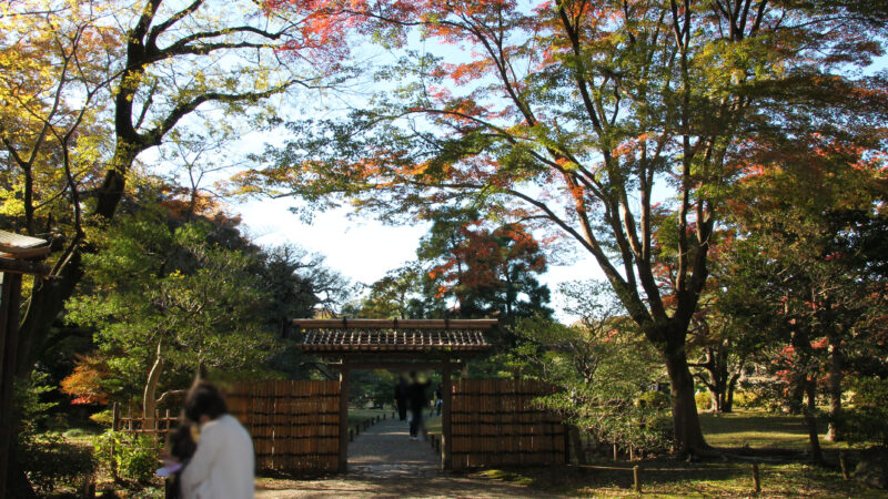 駒込 六義園