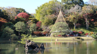 駒込 六義園