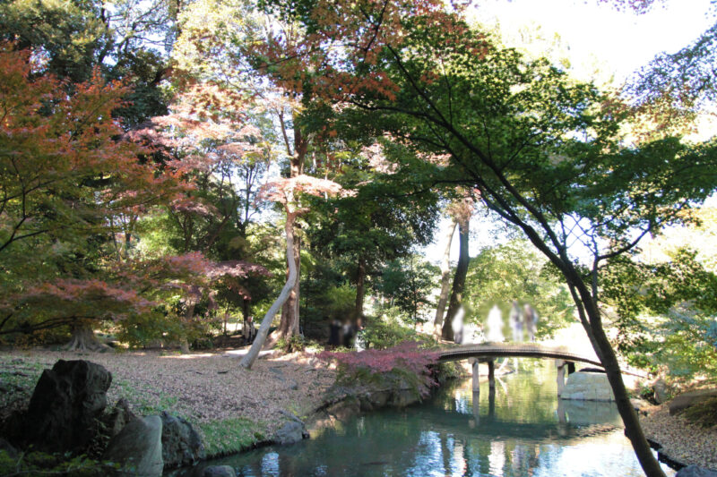 駒込 六義園