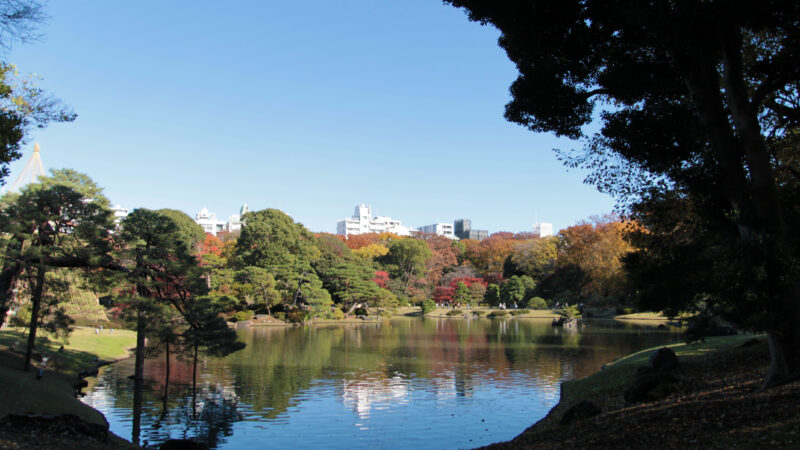 駒込 六義園