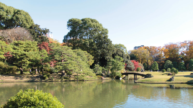 駒込 六義園