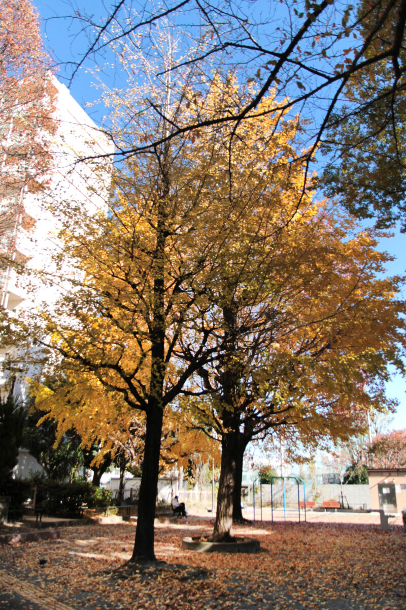 王子六丁目公園