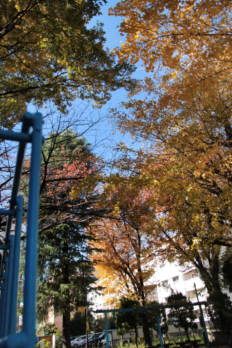 王子六丁目公園