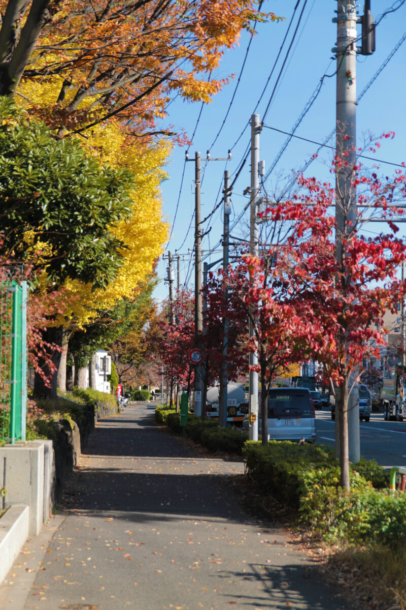 北区立豊島公園