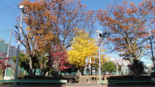 北区立豊島公園