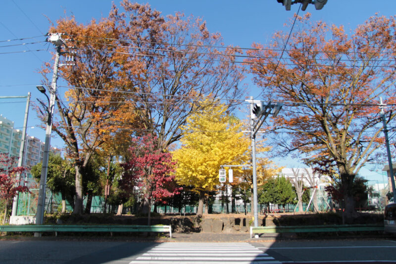 北区立豊島公園