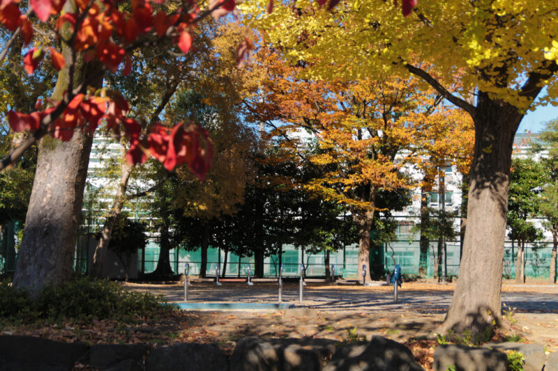 北区立豊島公園