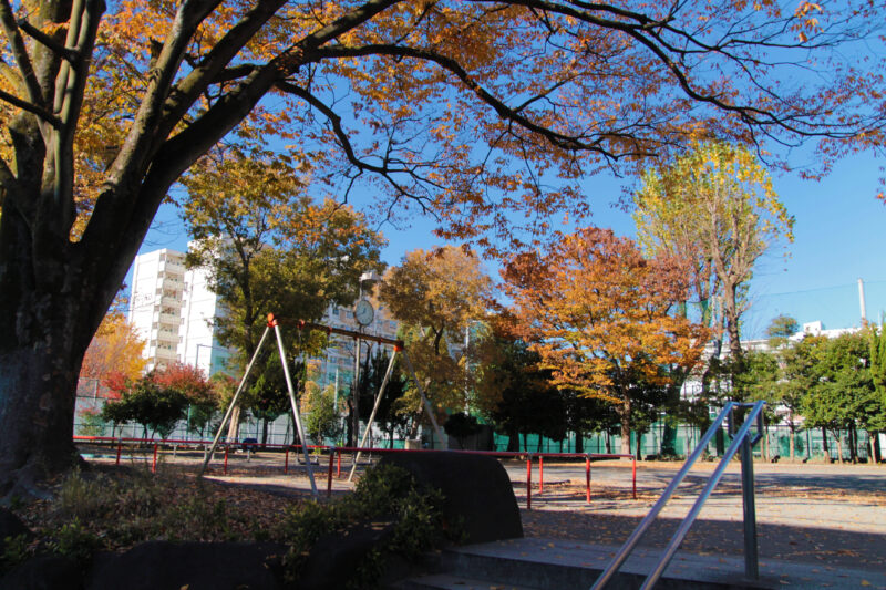 北区立豊島公園