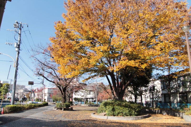 北区立豊島公園