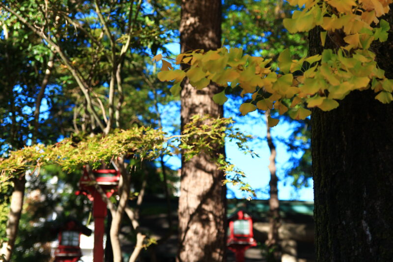 四本木稲荷神社