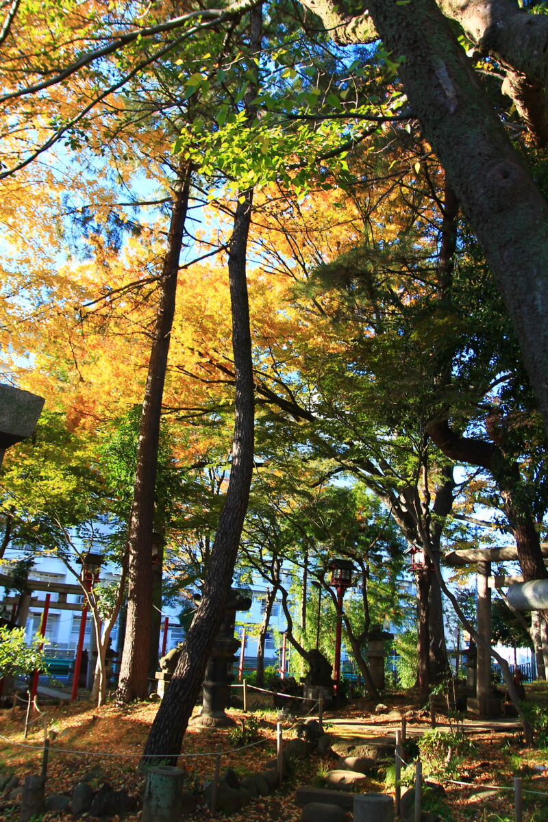 四本木稲荷神社