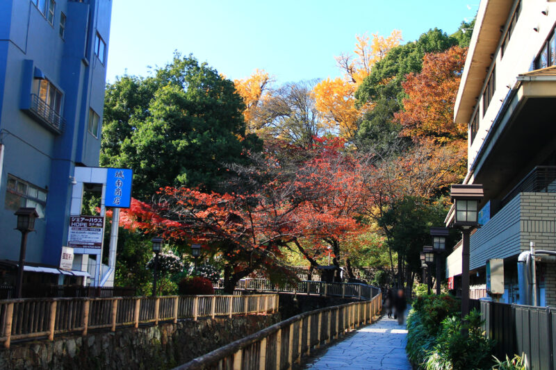 音無親水公園