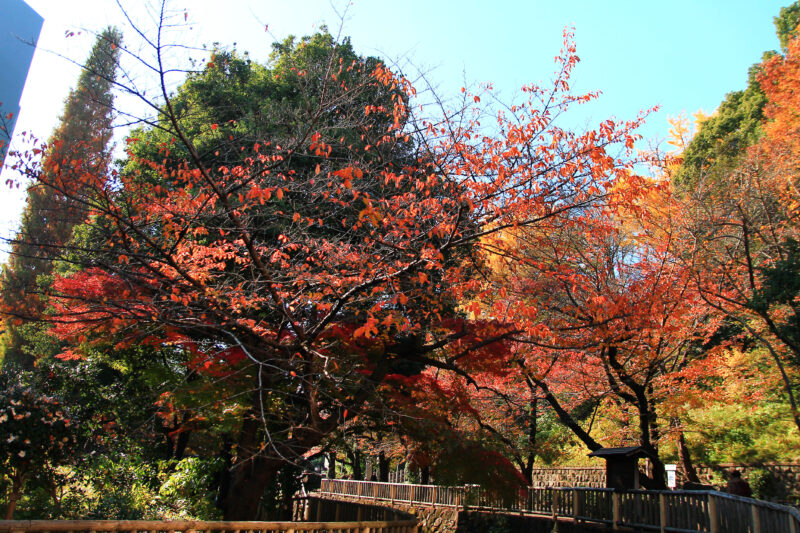 音無親水公園