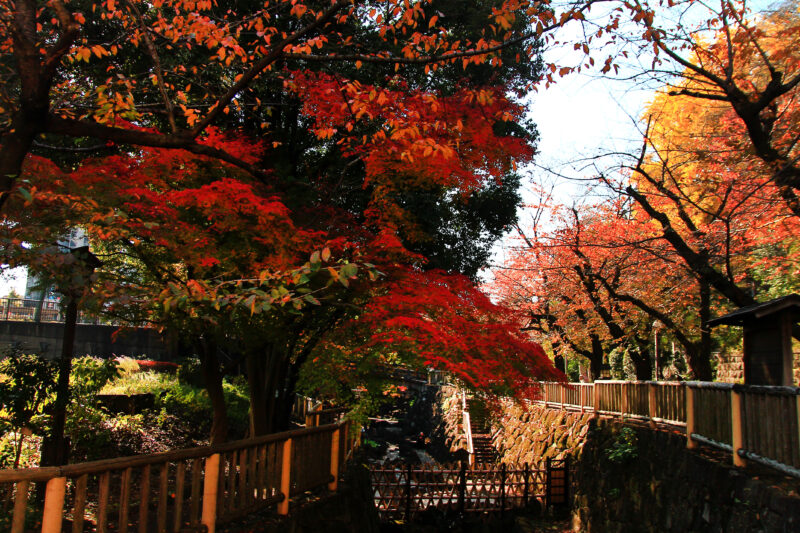 音無親水公園