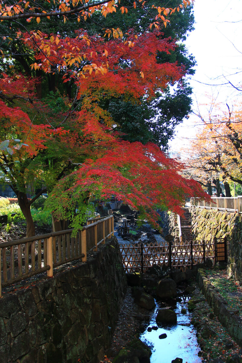 音無親水公園