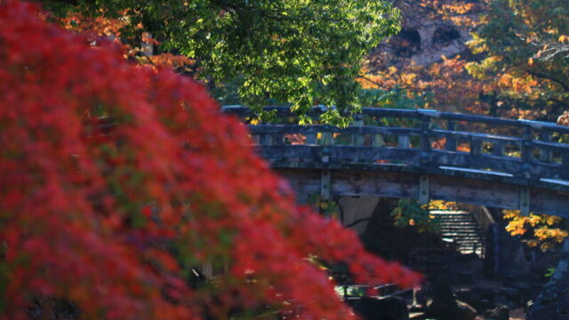 音無親水公園