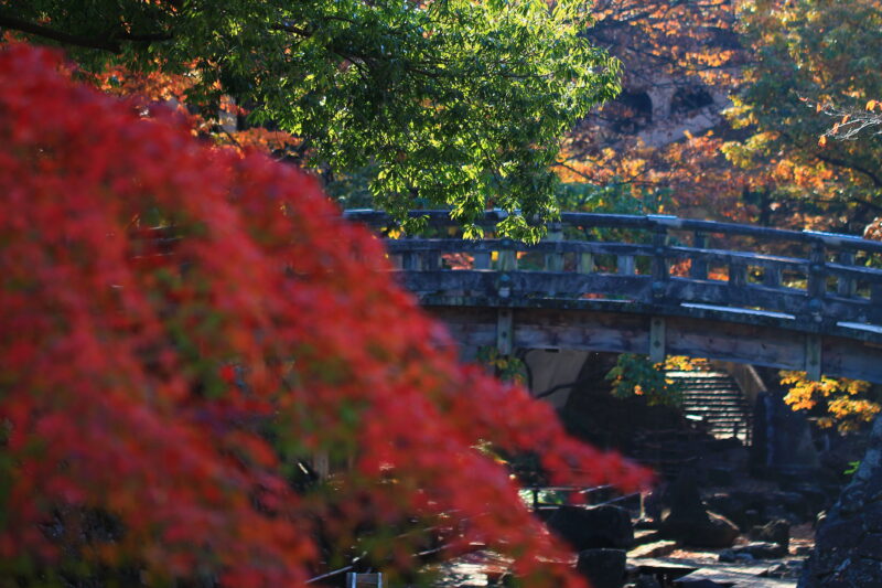 音無親水公園