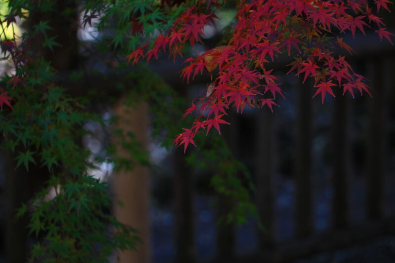 音無親水公園