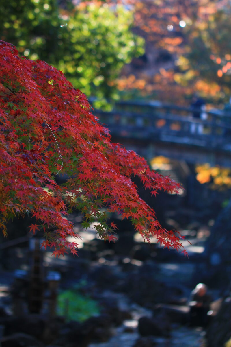 音無親水公園