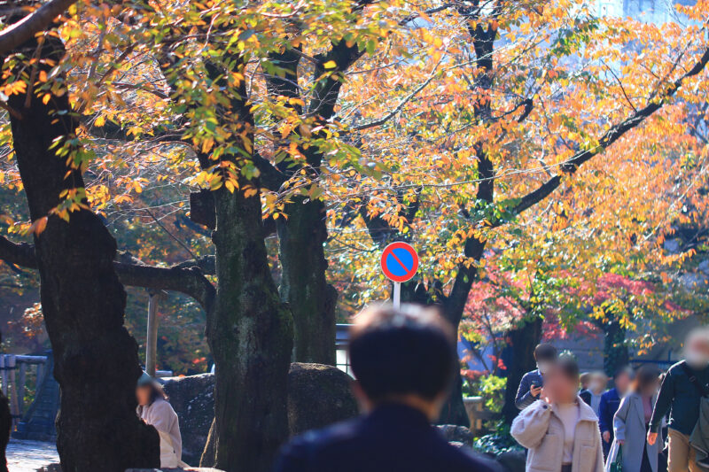 音無親水公園