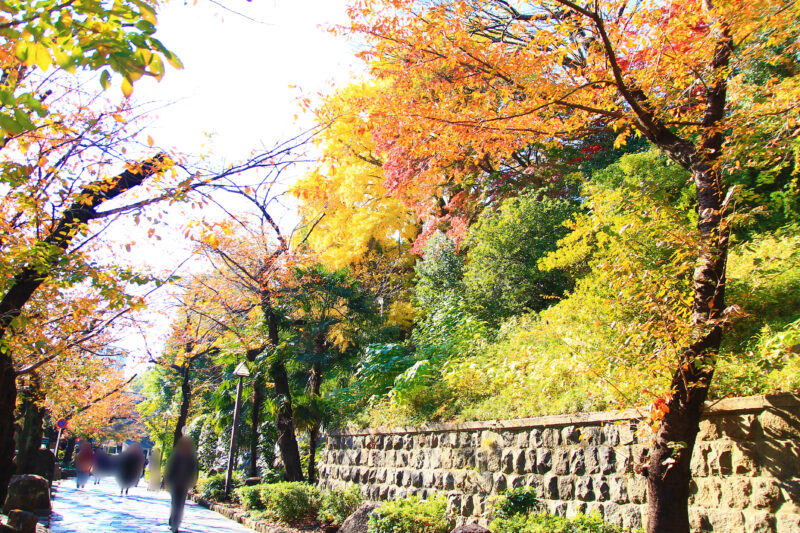 音無親水公園