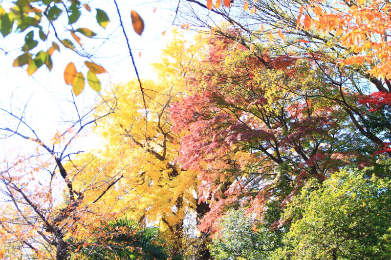 音無親水公園