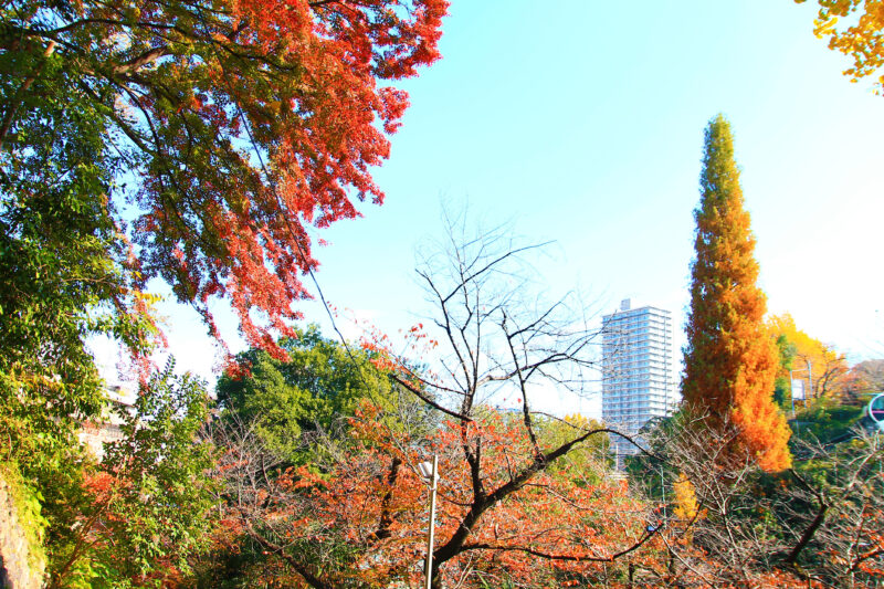 音無親水公園