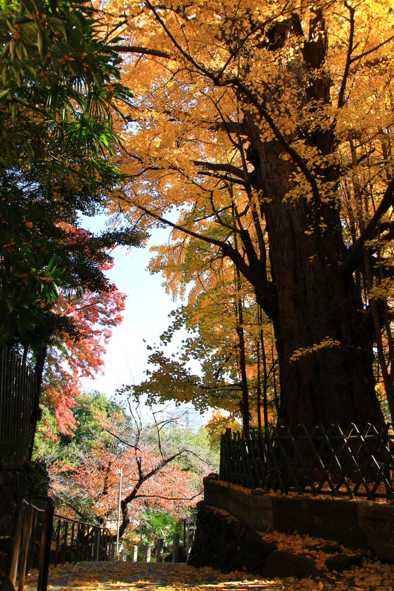 音無親水公園