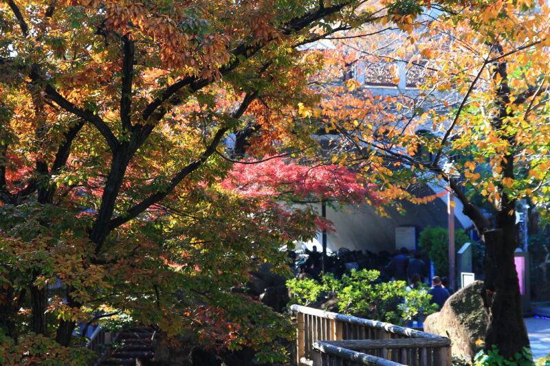 音無親水公園