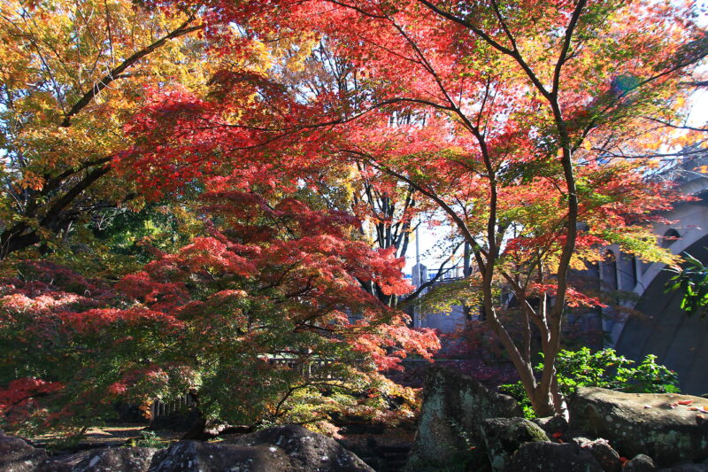 音無親水公園