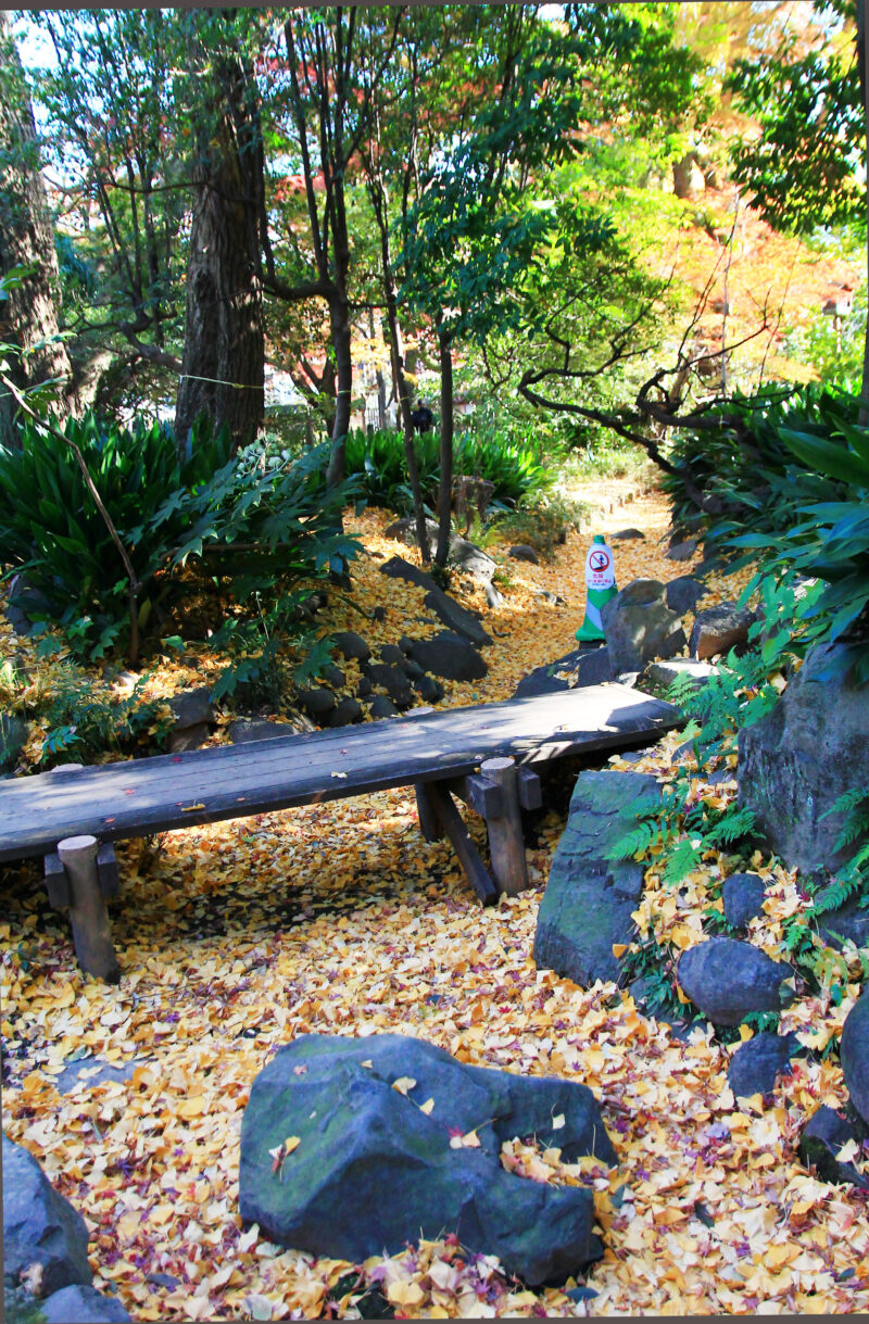 名主の滝公園　北区