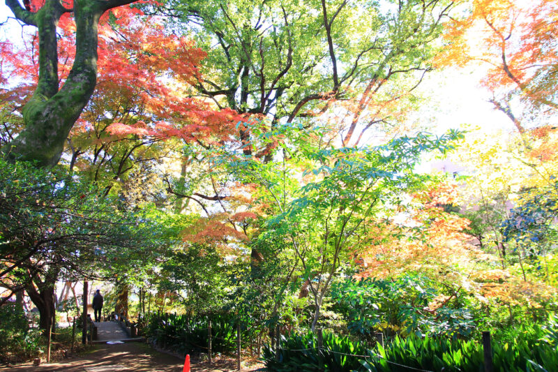 名主の滝公園　北区