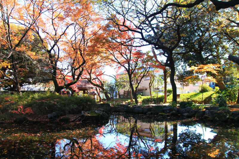 名主の滝公園　北区