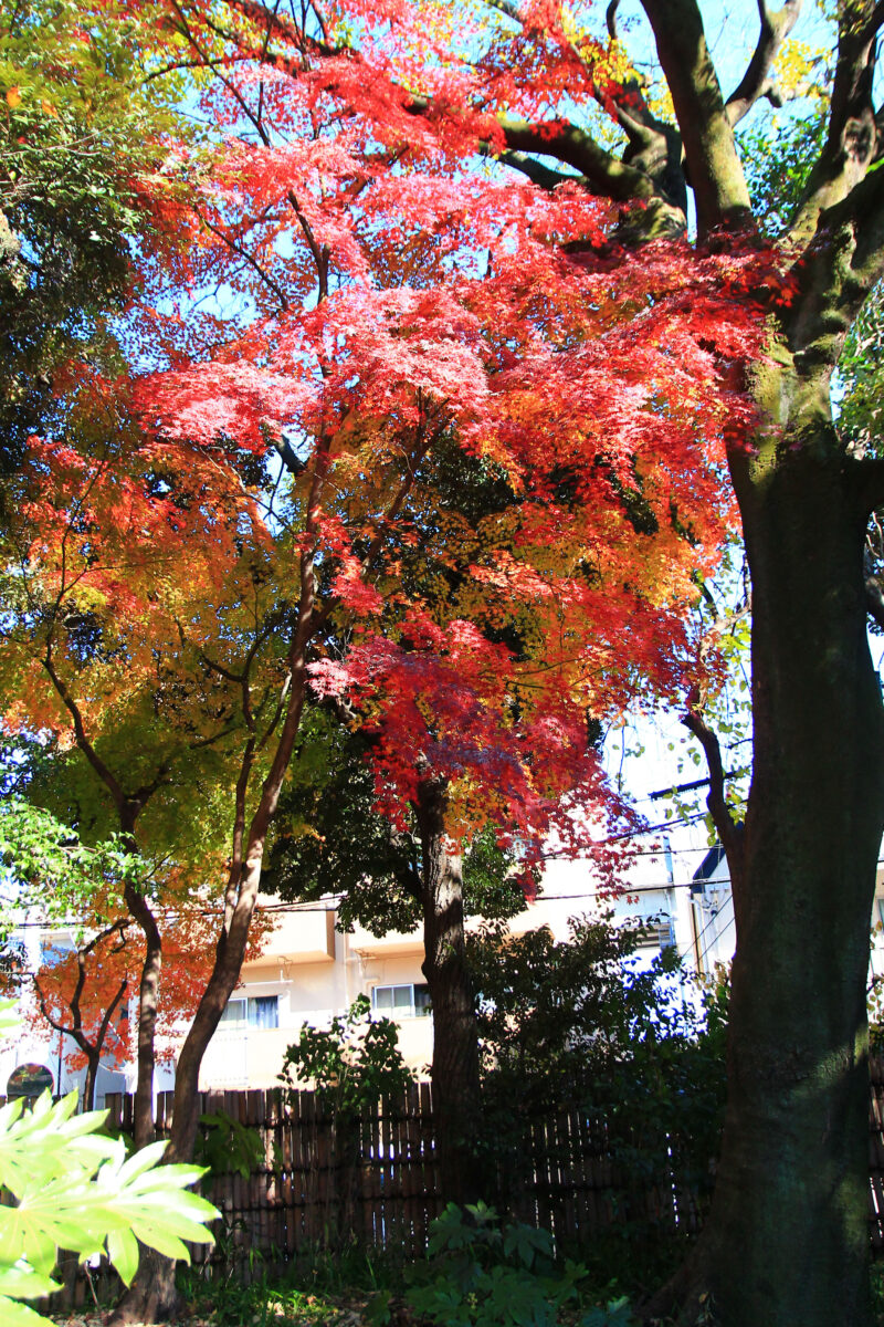 名主の滝公園　北区