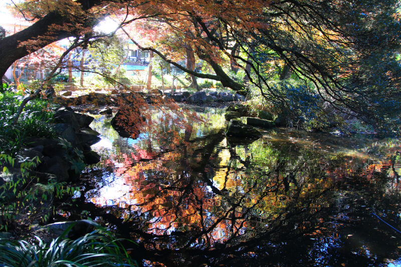 名主の滝公園　北区