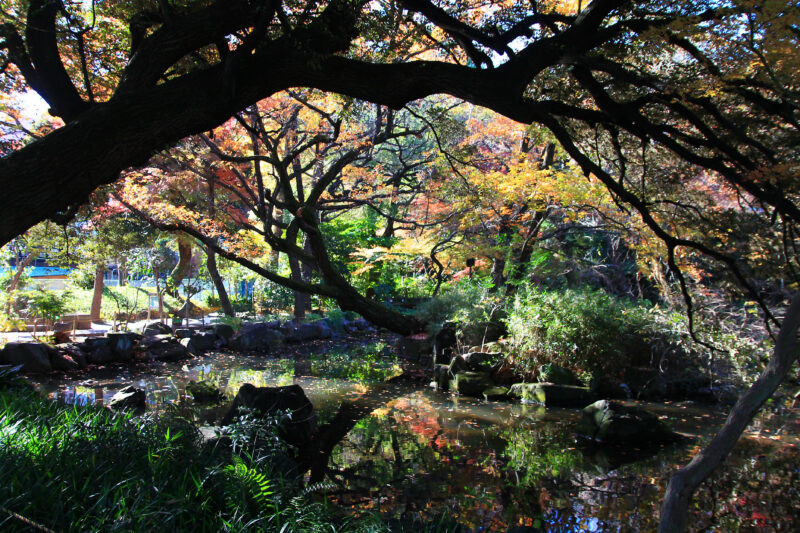 名主の滝公園　北区