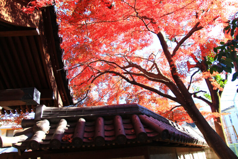 名主の滝公園　北区