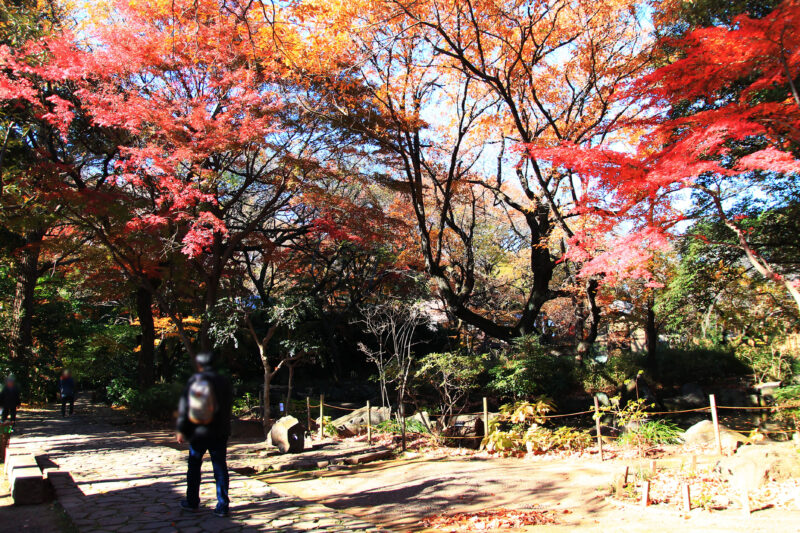 名主の滝公園　北区