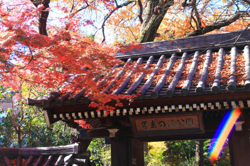 名主の滝公園　北区