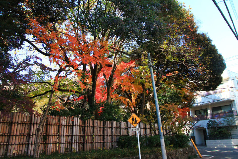 名主の滝公園　北区